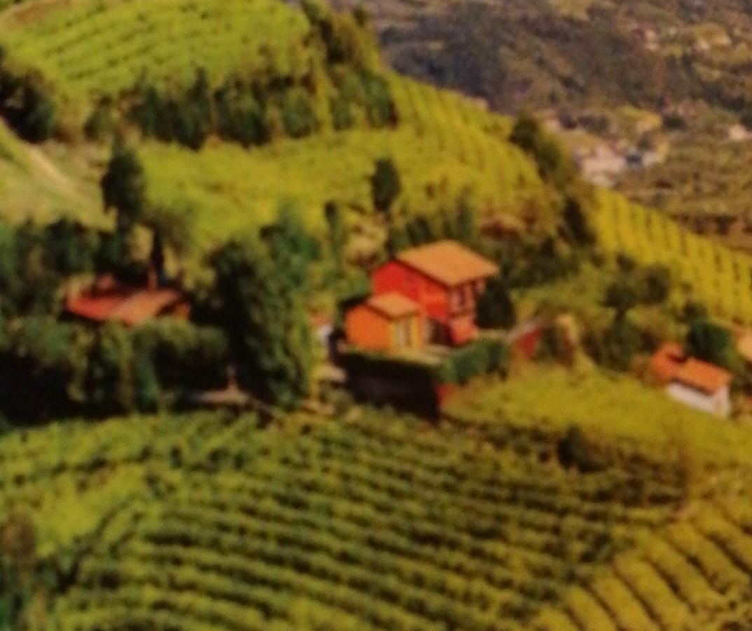 Agriturismo La Preara Monteforte dʼAlpone Extérieur photo